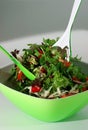 Delicious salad Royalty Free Stock Photo