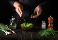 Delicious salad for breakfast. Chef preparing food from fresh vegetables in the kitchen Royalty Free Stock Photo