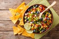 delicious salad of corn, blueberries, jalapeno pepper, bell pepper and onions is served with nachos chips close-up. horizontal to Royalty Free Stock Photo