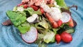 Delicious salad with fresh seasonal vegetables and smoked salmon Royalty Free Stock Photo