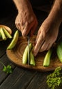 Delicious salad for lunch with fresh cucumber and parsley. Chef hands with knife slicing cucumbers on kitchen cutting board Royalty Free Stock Photo