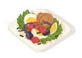 Delicious salad with vegetables and fish on plate isolated on white background. Tasty wholesome dish made of anchovies