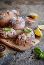 Salmon spread with cream cheese and onion on whole grain bread slices Royalty Free Stock Photo