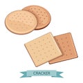 Delicious Salty Cookies Rustic. Cracker chocolate shape round and square healthy snack. Biscuit crispy delicious for breakfast.