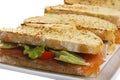 Delicious sandwhich Royalty Free Stock Photo