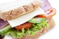 Delicious sandwich Royalty Free Stock Photo