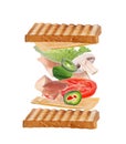 Delicious sandwich with flying toasted bread, prosciutto and other ingredients on background