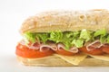 Delicious sandwich of ham cheese lettuce tomato Royalty Free Stock Photo