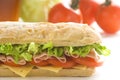Delicious sandwich of ham cheese lettuce tomato Royalty Free Stock Photo