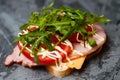 Delicious sandwich with ham and sturgeon, arugula, cheese, tomato and mayonnaise on a gray background side view Royalty Free Stock Photo