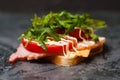 Delicious sandwich with ham and sturgeon, arugula, cheese, tomato and mayonnaise on a gray background side view Royalty Free Stock Photo