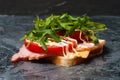 Delicious sandwich with ham and sturgeon, arugula, cheese, tomato and mayonnaise on a gray background side view Royalty Free Stock Photo