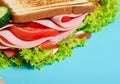 Delicious sandwich with ham