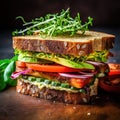 Delicious sandwich.Healthy sandwiches.Vegan or Vegetarian sandwiches.Background