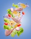 Delicious sandwich ingredients fall in the air on an isolated blue background Royalty Free Stock Photo