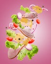 Delicious sandwich ingredients fall in the air on an isolated pink background Royalty Free Stock Photo