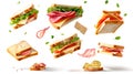 Delicious sandwich ingredients floating in mid-air. Perfect for food blogs, culinary websites and recipe books. Captured Royalty Free Stock Photo