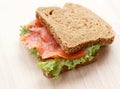 Delicious sandwich Royalty Free Stock Photo