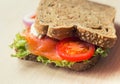 Sandwich with smoked salmon Royalty Free Stock Photo