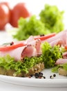 Delicious sandwich & tomatoes and lettuce Royalty Free Stock Photo