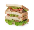 Delicious sandwich with tuna, tomatoes and lettuce on white background Royalty Free Stock Photo