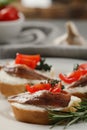 Delicious sandwiches with cream cheese, anchovies and tomatoes on plate, closeup Royalty Free Stock Photo