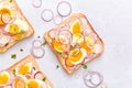 Delicious sandwiches with soft cream cheese, radishes, eggs and onions Royalty Free Stock Photo