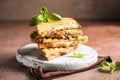 Delicious sandwiches with tuna, tomato and cheese Royalty Free Stock Photo