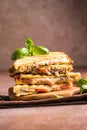 Delicious sandwiches with tuna, tomato and cheese Royalty Free Stock Photo
