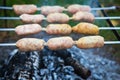 Delicious sausages on a skewer. Rest, friends, outdoors. Close-up Royalty Free Stock Photo