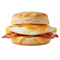 Delicious savory breakfast sandwich with bacon, egg, and cheese on biscuit Royalty Free Stock Photo