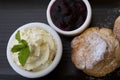 Delicious scones, whipped butter cream, and blueberry jam