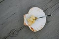 Delicious sea scallop on wooden background Royalty Free Stock Photo