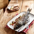 Delicious seafood appetizer of grilled sea bass