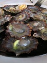 Delicious seafood, mussles in a garlic butter in Madeira, Portugal. Eating out in a restaurant