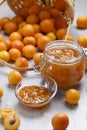 Delicious seedless plum jam can be canned at home.