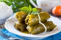 A delicious serving of homemade dolmades, presented with elegance and ready to enjoy Royalty Free Stock Photo