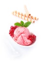 Delicious serving of redcurrant icecream Royalty Free Stock Photo