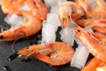 Delicious shrimps and ice on background, close up Royalty Free Stock Photo