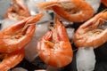 Delicious shrimps and ice on background, close up Royalty Free Stock Photo