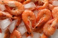 Delicious shrimps and ice texture background Royalty Free Stock Photo