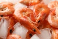 Delicious shrimps and ice texture background Royalty Free Stock Photo