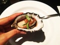 A Single Oyster with a White Plate Background