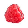 Delicious single raspberry over isolated white background