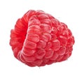 Delicious single raspberry over isolated white background