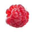 Delicious single raspberry over isolated white background