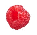 Delicious single raspberry over isolated white background