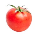 Delicious single tomato over isolated white background