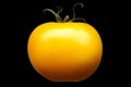 Single yellow tomato isolated on black background Royalty Free Stock Photo