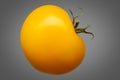 Single yellow tomato isolated on grey background Royalty Free Stock Photo